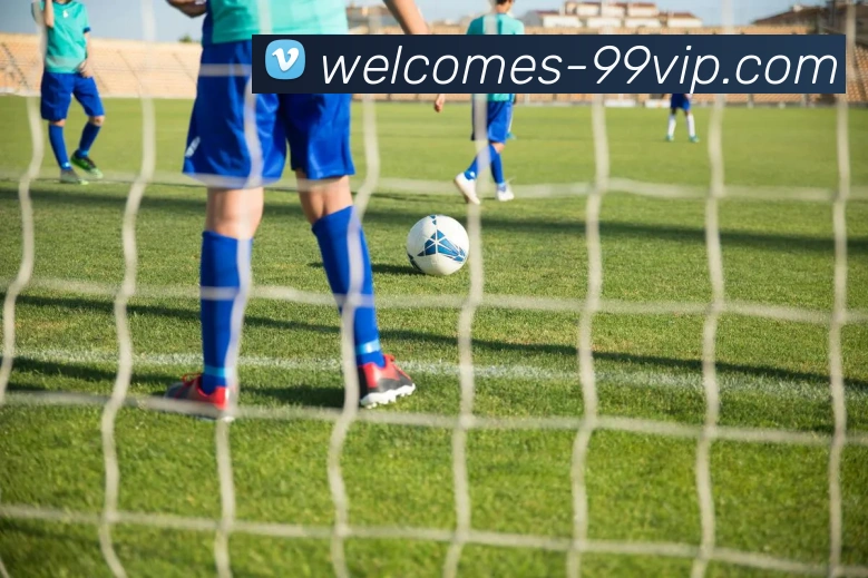 99贵宾会官网平台生态图