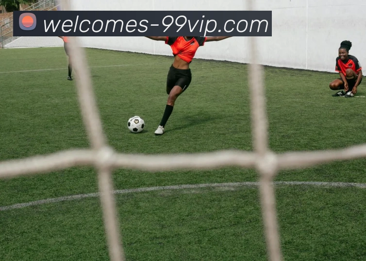 99贵宾会官网APP 封面图